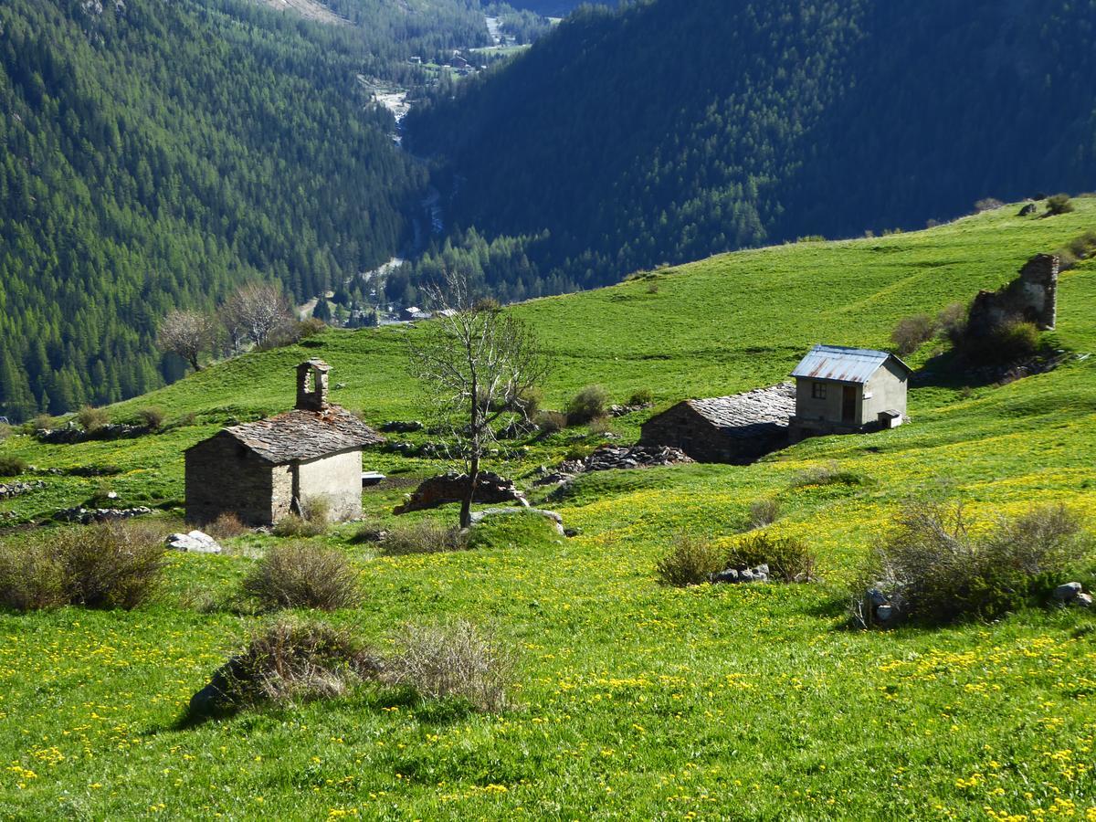 Hotel Locanda Grauson Cogne Exterior foto